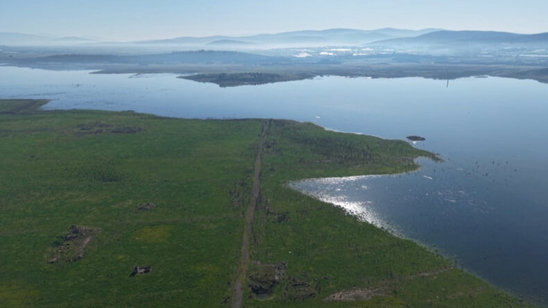 İzmir'e güzel haber: Bir yılda üç kat arttı