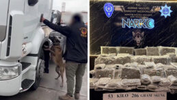 Kapıkule&rsquo;de Tırdan 53 Kilo Skunk Ele Ge&ccedil;irildi