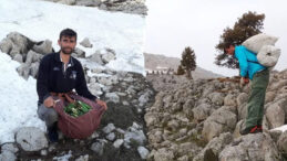 Kayalıklar arasında toplaması &ccedil;ileli ama kilosu 300 lira