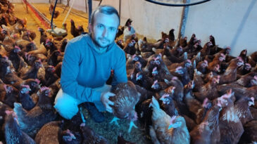 Kira fiyatları bezdirdi! K&ouml;y&uuml;nde gezen tavuk &ccedil;iftliği kurdu