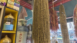 Kışın Altın Değerinde: Kurutulmuş Halinin Fiyatı 3 Bin 500 Liraya &Ccedil;ıktı