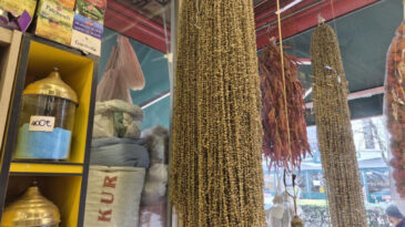 Kışın Altın Değerinde: Kurutulmuş Halinin Fiyatı 3 Bin 500 Liraya &Ccedil;ıktı