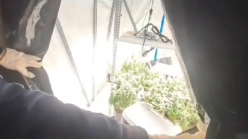 Kocaeli'de 40 Adrese Uyuşturucu Baskını: 36 Gözaltı