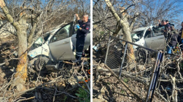 Kontrolden &Ccedil;ıkıp Ağaca Saplandı: 2 &Ouml;l&uuml;