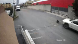 K&ouml;peğin &uuml;st&uuml;nden ge&ccedil;ti, durmadan yola devam etti