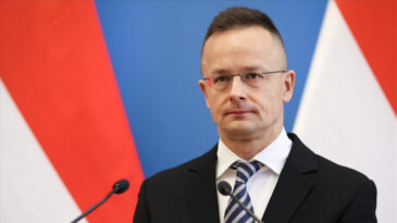 K&ouml;stebek krizinde tuhaf savunma: T&uuml;rklere de s&ouml;yl&uuml;yorum