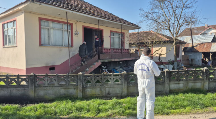 Kovaya Konulan Odun Can Aldı