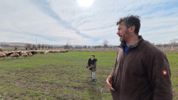 K&uuml;&ccedil;&uuml;kbaş Hayvan Besiciliği Zorlukları