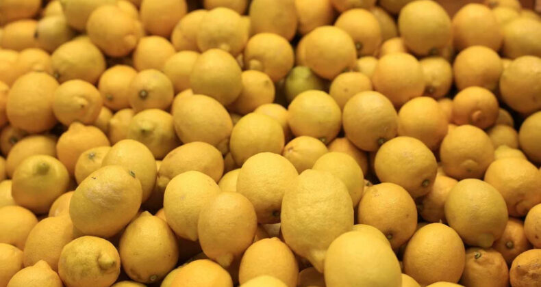 Limon ithalatındaki g&uuml;mr&uuml;k vergisi indirildi