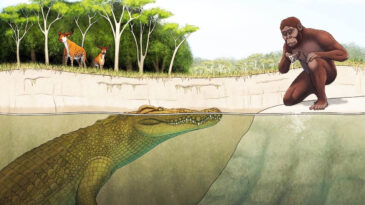 Lucy'nin korkulu r&uuml;yası: Pusuya yatıp avlıyordu