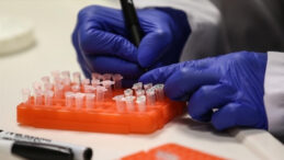 M &ccedil;i&ccedil;eği salgını: 8 kişi &ouml;ld&uuml;