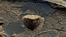 Mars'ta Piramit Benzeri Yapı Bulundu