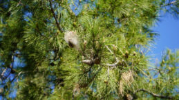 Masum gibi g&ouml;r&uuml;n&uuml;yor ama&hellip; Teması ciddi sonu&ccedil;lar doğurabilir