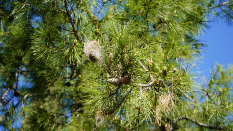 Masum gibi g&ouml;r&uuml;n&uuml;yor ama&hellip; Teması ciddi sonu&ccedil;lar doğurabilir