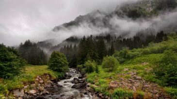 Milli parkları yapılaşmaya a&ccedil;an d&uuml;zenleme y&uuml;r&uuml;rl&uuml;ğe girdi
