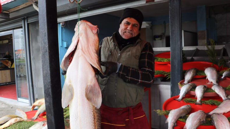 Munzur Çayı'nda Yakalanan Balıklar Hızla Tükendi