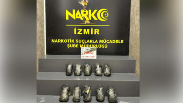 Narkotik k&ouml;peği &lsquo;Alis&rsquo; yakaladı: Ara&ccedil;ta 10 kilo metamfetamin &ccedil;ıktı
