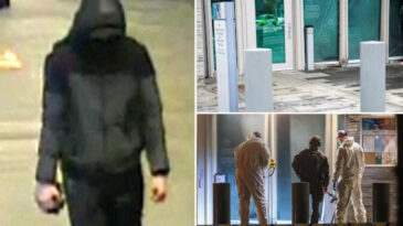 Norve&ccedil;'te ABD B&uuml;y&uuml;kel&ccedil;iliği'ne saldırı: &Uuml;&ccedil; kardeş yakalandı