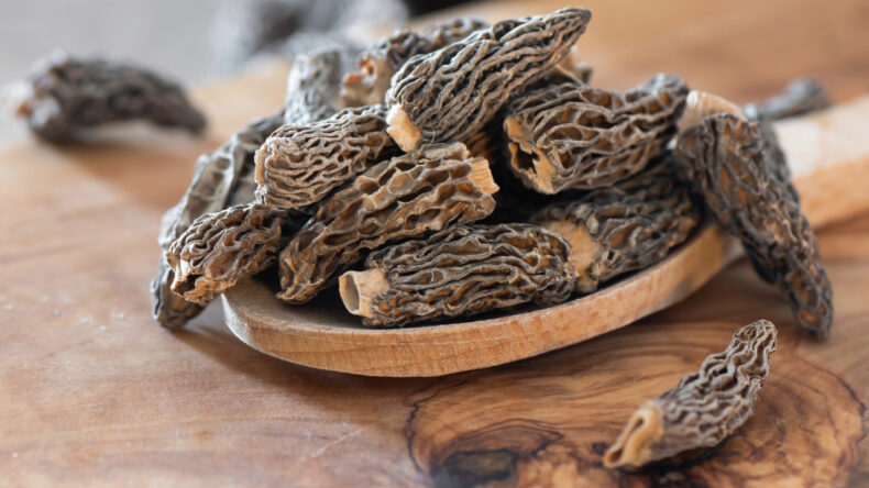 Ormanda kendiliğinden yetişiyor: Kilosu 2 bin lira