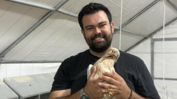 Otomobilini satıp tavuk &ccedil;iftliği kurdu: 'Risk almak gerekiyor'