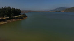 Otomobille gezilen barajda artık balık var