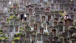 &Ouml;l&uuml;lerin K&uuml;llerini Evde Saklamak Yasaklanıyor