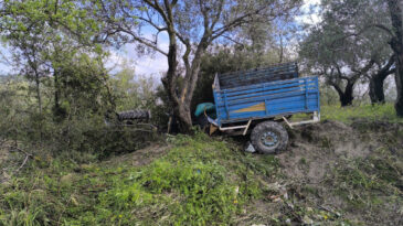 Patpat Zeytinliğe U&ccedil;tu: 1 &Ouml;l&uuml;