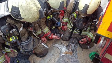 Paytak ve Şanslı Kalp Masajıyla Hayata D&ouml;nd&uuml;r&uuml;ld&uuml;