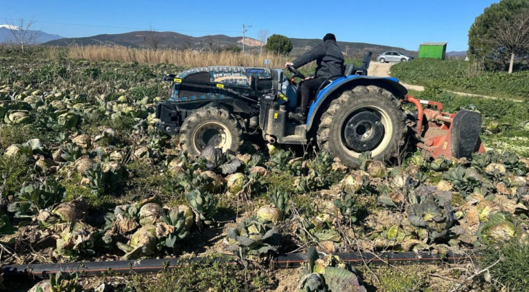 Pazarda 70 Lira Ama Y&uuml;zbinlercesi Tarlada &Ccedil;&uuml;r&uuml;d&uuml;