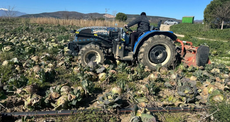 Pazarda 70 Lira Ama Y&uuml;zbinlercesi Tarlada &Ccedil;&uuml;r&uuml;d&uuml;