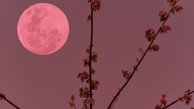 Pembe Dolunay T&uuml;rkiye'den g&ouml;r&uuml;lecek mi?