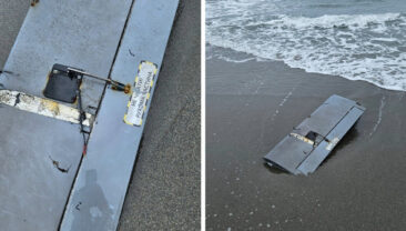 Sahile vurdu, ekipler harekete ge&ccedil;ti