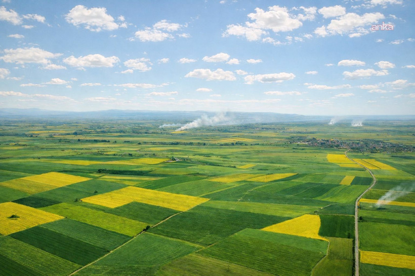 Alpu Termik Santrali