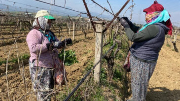 Sel vurdu, masraf katlandı: G&uuml;nl&uuml;k kazan&ccedil; bin liradan başlıyor