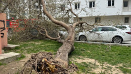 Şiddetli R&uuml;zgar Kenti Vurdu: Y&uuml;r&uuml;mek Bile Zorlaştı