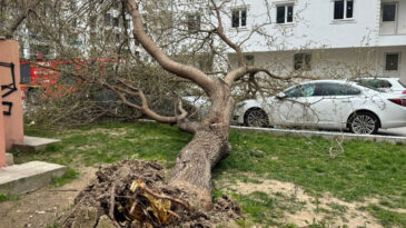Şiddetli R&uuml;zgar Kenti Vurdu: Y&uuml;r&uuml;mek Bile Zorlaştı