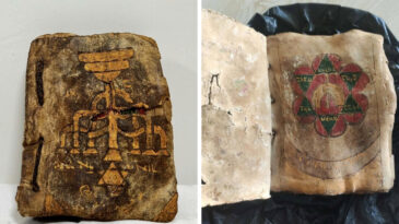 Tarihi Eser Niteliği Taşıdığı Değerlendirilen Tevrat Ele Ge&ccedil;irildi