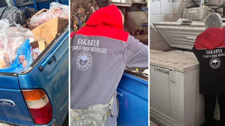 Tarihi Ge&ccedil;miş Tavukları Vatandaşa Yedireceklerdi