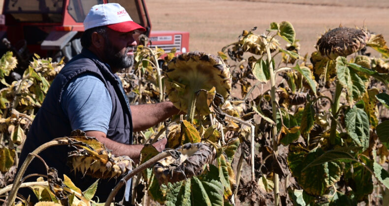 Tarımda 24 yılın en kötüsü