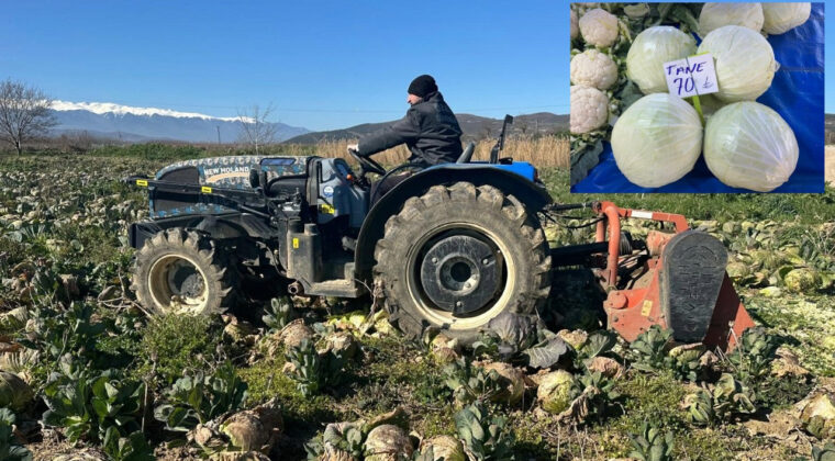 Tarlada 9 markette 100 lira! Ne &ccedil;ift&ccedil;i kazandı ne de vatandaş ucuza yedi