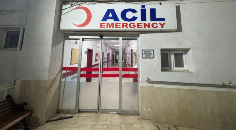 Tartıştığı Kardeşini Silahla Yaraladı