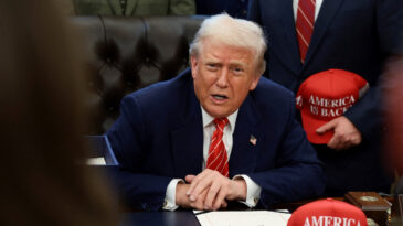 Trump, Netflix tahvilleri satın almış