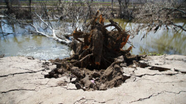 Tunca Nehri Kıyısında Heyelan