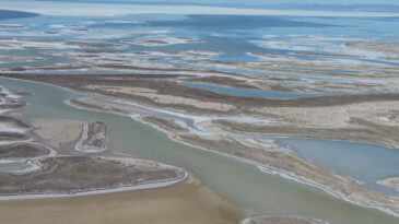 Tuz G&ouml;l&uuml; Yeniden Hayat Buldu