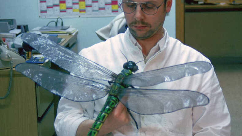 Uçan dev böceklerle ilgili sürpriz keşif