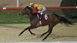 Veliefendi&rsquo;de D&uuml;nya Kadınlar G&uuml;n&uuml; Koşusu&rsquo;nu Jaehaera kazandı