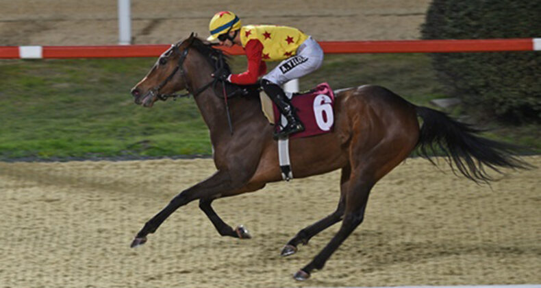 Veliefendi&rsquo;de D&uuml;nya Kadınlar G&uuml;n&uuml; Koşusu&rsquo;nu Jaehaera kazandı