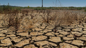 Yağışlar Kuraklığı Bitirmedi: &ldquo;T&uuml;rkiye&rsquo;de Kronik Kuraklık S&uuml;r&uuml;yor&rdquo;