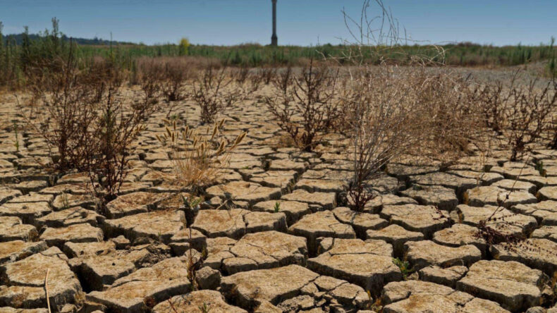 Yağışlar Kuraklığı Bitirmedi: &ldquo;T&uuml;rkiye&rsquo;de Kronik Kuraklık S&uuml;r&uuml;yor&rdquo;