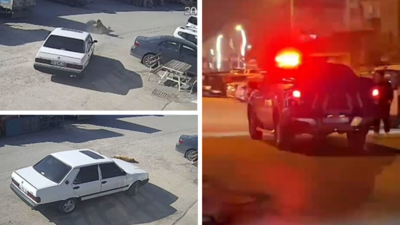 Yerde Yatan K&ouml;peğin &Uuml;zerinden Otomobiliyle Ge&ccedil;ti! Cani S&uuml;r&uuml;c&uuml; G&ouml;zaltında